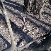 Na rozbeh v tomto roku, prvý pohľad