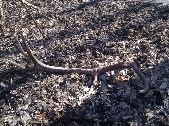 ešte raz z druhej strany