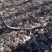 ešte raz z druhej strany