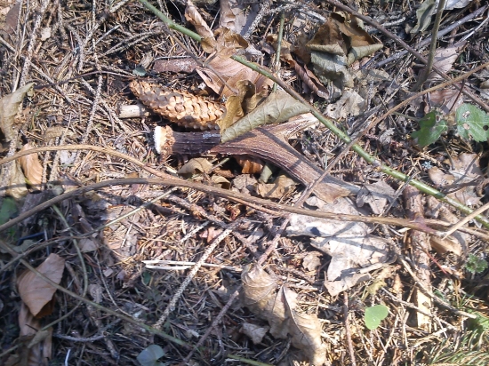 Keď neprší aspoň kvapká