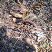 Keď neprší aspoň kvapká