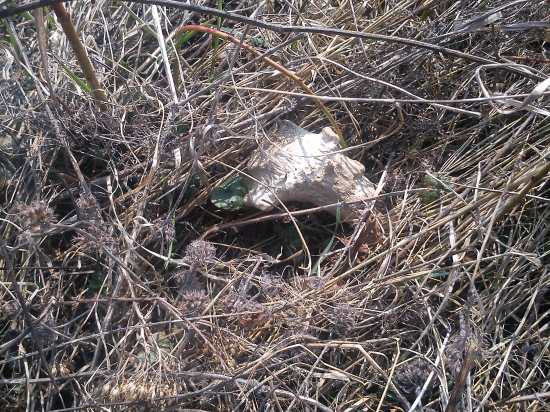 Keď neprší aspoň kvapká ale takto