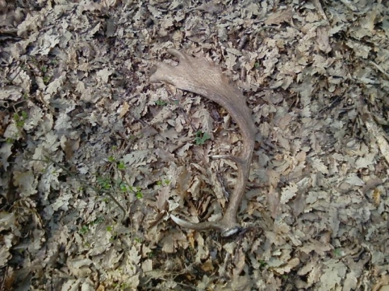 moja prvá tohto roku