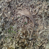 moja prvá tohto roku