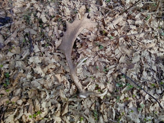 a tu je pár 5 metrov od prvej