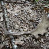 Spomienky na jar 2008