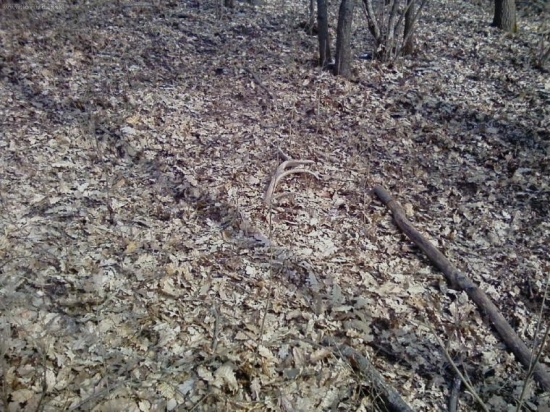 1 čerstvý tohto roku 1 pohľad