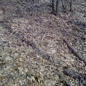 1 čerstvý tohto roku 1 pohľad