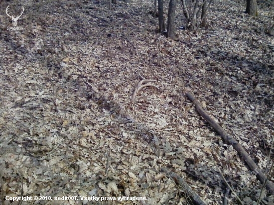 1 čerstvý tohto roku 1 pohľad