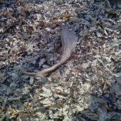 Pokračovanie minisérie 3 z 1.4 pár k ID 59307