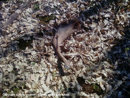 miniséria zo 7.4. pár k ID:59306