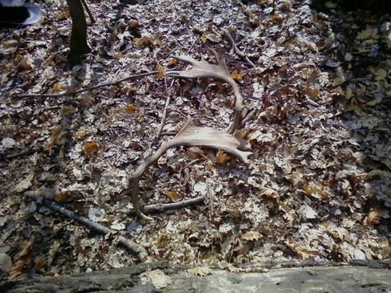 pokračovanie minisérie 3 pár toho roku