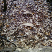 pokračovanie minisérie 3 pár toho roku