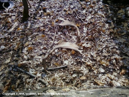 pokračovanie minisérie 3 pár toho roku