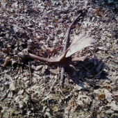 Ďalší dobrý záťah