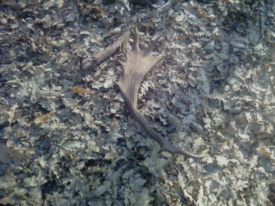 Ďalší dobrý záťah