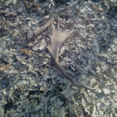 Ďalší dobrý záťah