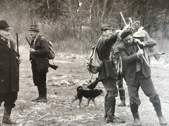 Vtedy keď bolo dosť zajacov