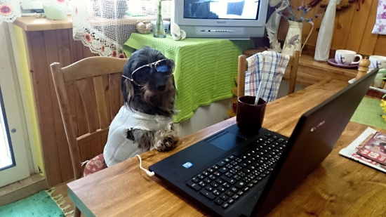 moja spolupracovníčka po večeroch.....