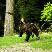dnešné ráno.... / hladný a nervózny /