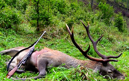 posledná rozlúčka.......