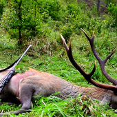 posledná rozlúčka.......