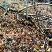 nieco z jari  prvy pohlad