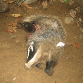 vliezol do diry ale vytiahli sme ho!