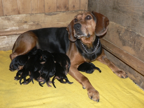 A jsme na světě ...