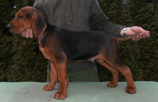 Nový přírustek do rodiny ...