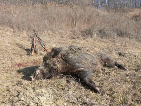 Rumunská odysea ...