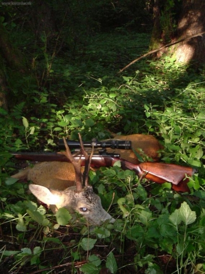 Staroch z Rožňavy ...