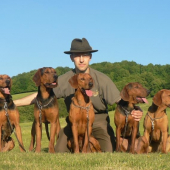 Srbský honič - CHS Popův keř