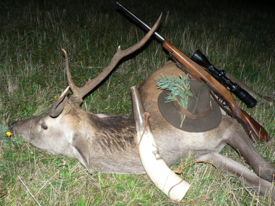 Ked' hora hučala ...