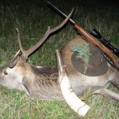 Ked' hora hučala ...