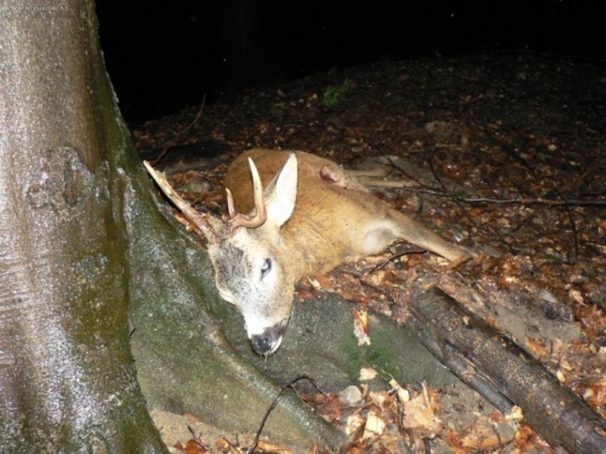 Úspěšný večer...