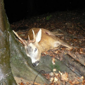 Úspěšný večer...