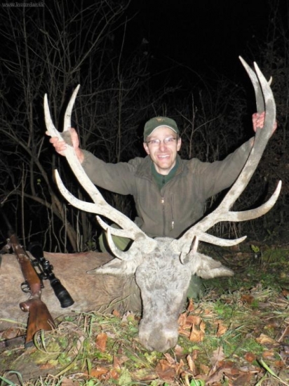 Před rokem ... jelen z kaliště