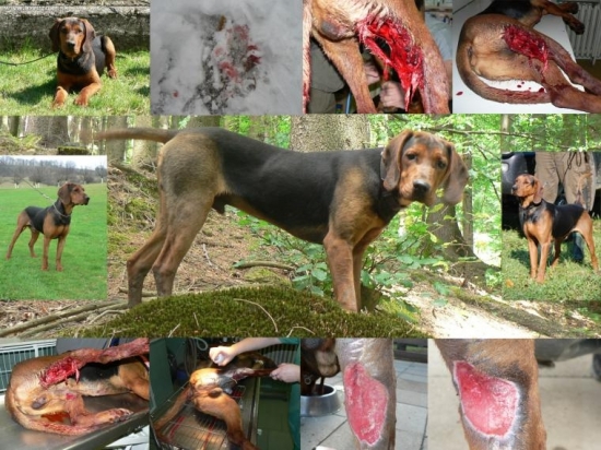 Tvrdá realita 2 ...