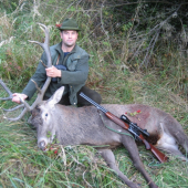 koncom ruje sa pošťastilo