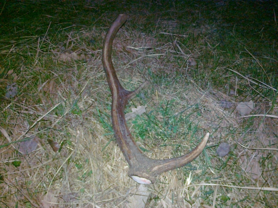 padol mu pred mojimi očami :-)