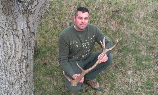 marcový dvanástoráčik