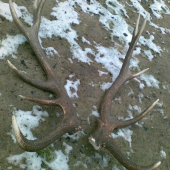 zaujímavý ľavý zhod...