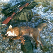 zo včerajšej pochôdzky...