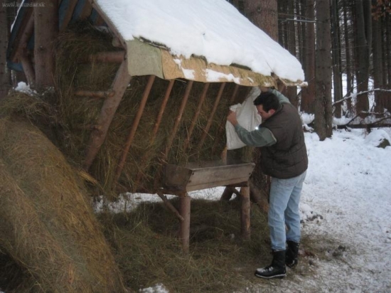 bráškova pomoc s prikrmovaním...