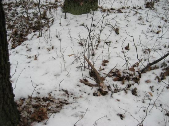 predsa som ho zbadal...