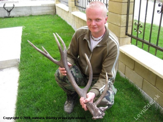 Štefanov raritný zhod