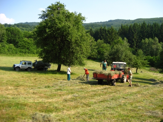 ...senobranie... :-)