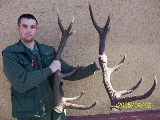 rok po roku z jedneho jelena