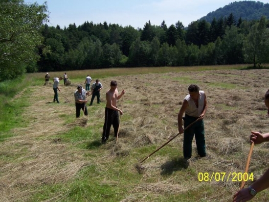 sušenie sena pre zver